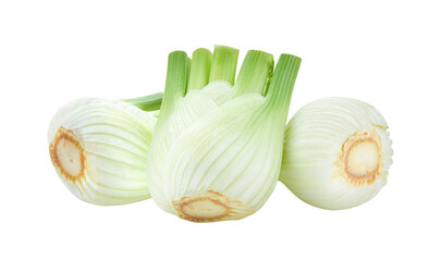 Fresh fennel on transparent png