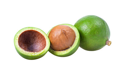 macadamia nuts isolated on transparent png