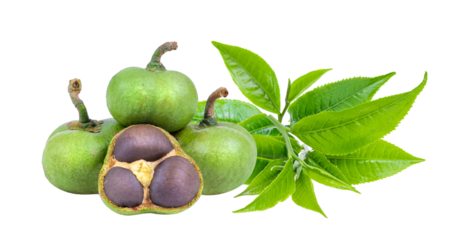 teaf ruit with leaf isolated on transparent png