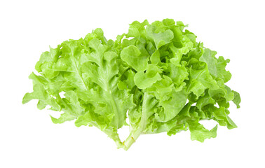 Lettuce top view on transparent png