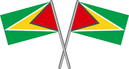 Guyana flag 2023010523