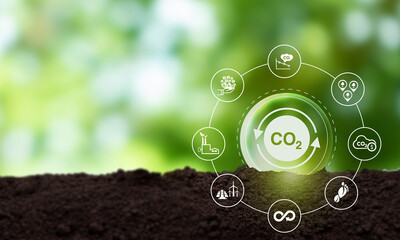 Carbon neutrality concept. Green business transformation and commitment for balancing between...