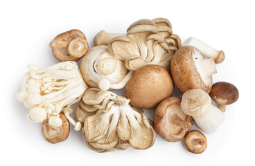 Heap of different fresh mushrooms on white background