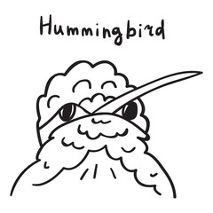 Hummingbird. Simple outline hand drawn icon. 