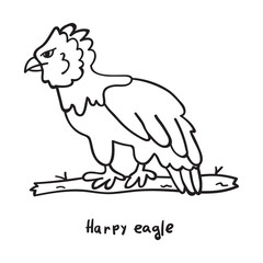 Harpy eagle. Outline hand drawn vector illustration on white background.