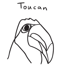 Toucan. Outline hand drawn vector illustration on white background.