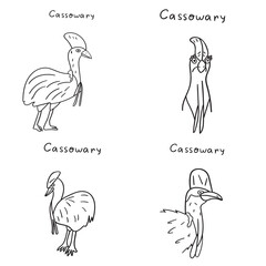 Cassowaries. Collection of  exotic birds. Outline vector illustrations on white background.  