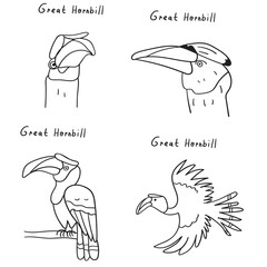 Collection. Great Hornbill. Outline vector illustrations.