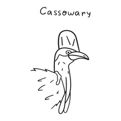 Cassowary. Hand drawn outline vector illustration.
