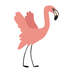 Flamingo. Vector illustration on white background.