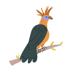 Hoatzin bird sits on branch. Hand drawn flat vector illustration. 