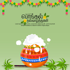 Happy Pongal religious festival of South India celebration background and Happy Pongal translate Tamil text. illustration
