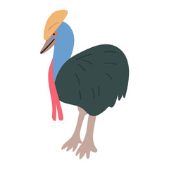 Cassowary. Vector illustration on white background. 