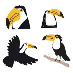 Toucans. Set of birds. Flat vector hand drawn illustrations.  
