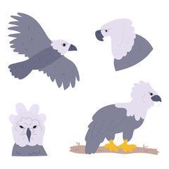 Collection of Harpy eagles. Flat illustrations on white background.  