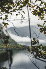 Blick auf Bergsee durch Baumkrone