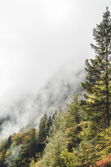 Berge in Österreich mit Wald und Wolken