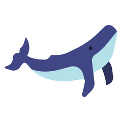 whale icon