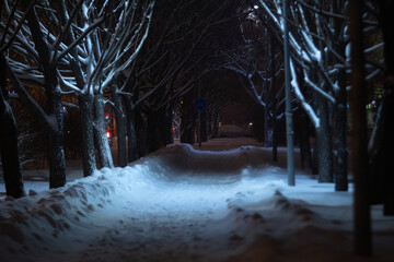 Snowy city street at night, peaceful atmosphere in snowy night. Selective focus