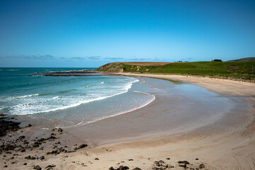 Coast of Molyneux Bay, in Otago, New Zealand