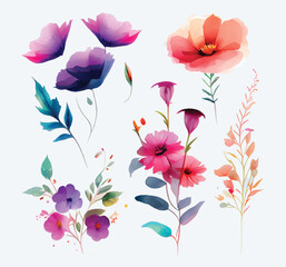 collection of flowers Beautiful Watercolor set of Design Ornaments