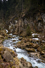 mountain river. narrow rocks and forming cascades. Rural area of ukrainian village in mountains. Early spring in Carpathian Mountains.