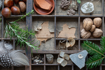 Abgenutzer alter Setzkasten aus Holz vom Gärtner gefüllt mit Pflanzen, Nüssen, Steinen und...