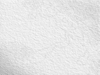 Monochrome texture background. Image includes the effect the black and white tones. Surface looks rough. Gray printing element. Backdrop texture wall and have copy space for text.