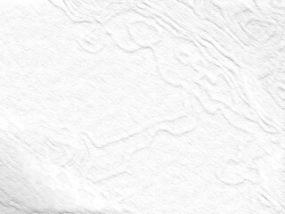 Monochrome texture background. Image includes the effect the black and white tones. Surface looks rough. Gray printing element. Backdrop texture wall and have copy space for text.