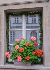 Fototapeta na wymiar windows exterior siding house sidewalk multicolored flowers planter decorations