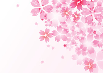 桜　春　花びら　背景
