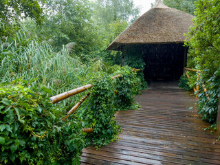 A hut to protect against rain and heat in Zurich Zoo.