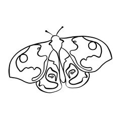 Abstract Butterflies lin art. collection of butterflies. Beautiful different butterflies.Unique butterflies in line art style