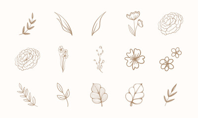 Set of line art floral botanical abstract flowers and branches. Outline design elements isolated on background, vector illustration