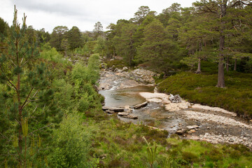 Classic Scottish Highland Wilderness Landscapes