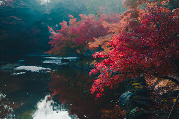 奈良　浮見堂と紅葉