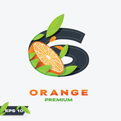 Numeric 6 Orange Fruit Edition