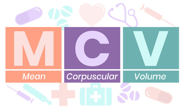 MCV - Mean Corpuscular Volume acronym. medical concept background. vector illustration concept with keywords. lettering illustration with icons for web banner, flyer, landing