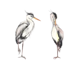 Fototapete Reiher Birds Herons, watercolor isolated illustration cute birds living swamp or lake, hand painting wild animals for your design. 