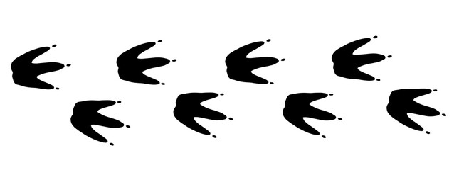 Penguin bird footprint road in black color