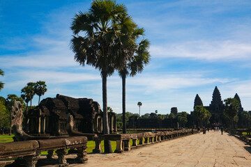 Travel to the beautiful Angkor Wat in Siem Reap in Cambodia. Trees and Temple. Asia Roundtrip...