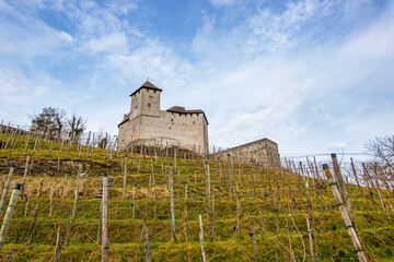 Fototapeta na wymiar Landmark photo of Burg Gutenberg with wineyard and blue sky in winter time
