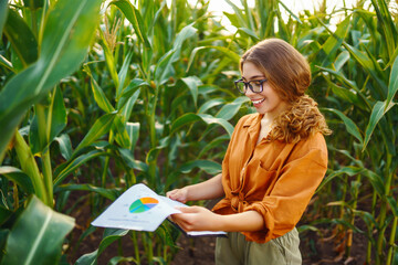 Farmer- woman standing in corn field examining crop. Harvest care concept.