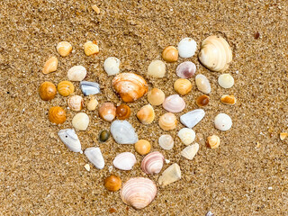 heart of seashells on the sand