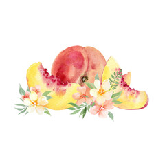 Watercolor hand drawing peaches fruit and flowers