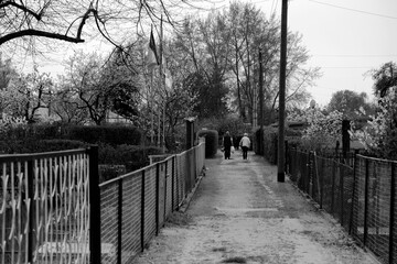 Schrebergärten in Berlin-Heinersdorf.