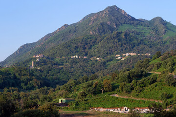 Fototapeta na wymiar San-Nicolao village in Upper Corsica