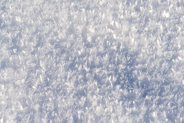 Beautiful snow crystals in the picturesque nature in the winter season