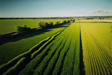Fototapeta premium Aerial drone photo of rustic green field created with Generative AI technology