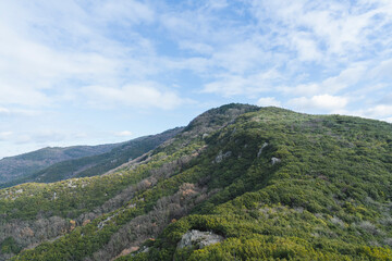 Obraz premium 山の風景